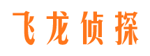 登封市侦探调查公司